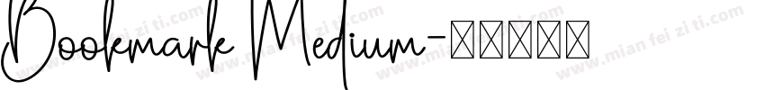 Bookmark Medium字体转换